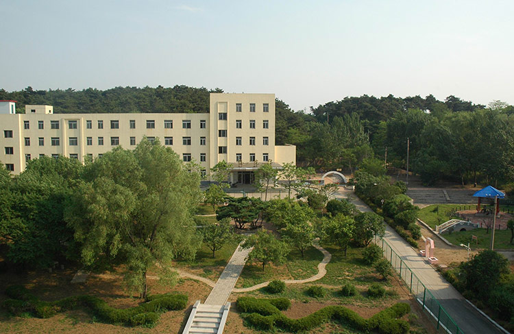 大型户外娱疗场地.jpg